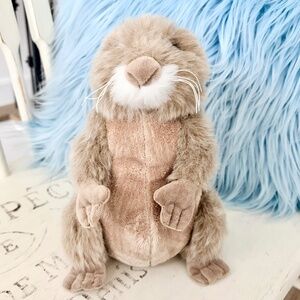 WEBKINZ Prairie Dog, Ganz, Stuffed Animal, Plush, Toy, Nice Condition, NO CODE